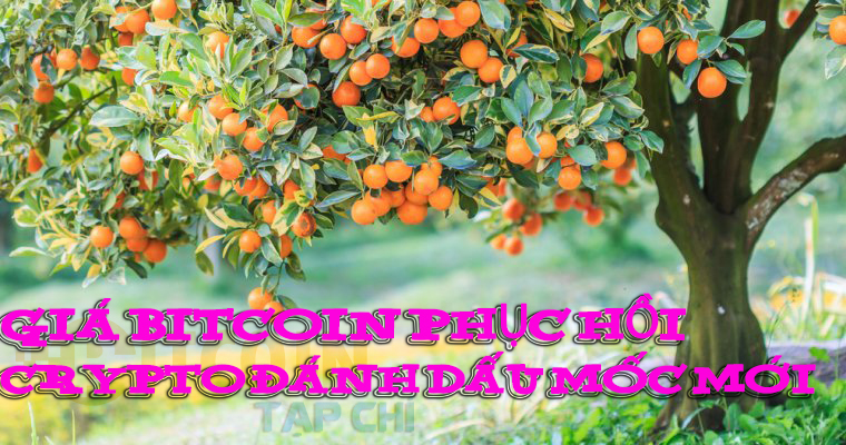 Tạp chí crypto hàng đầu Việt Nam