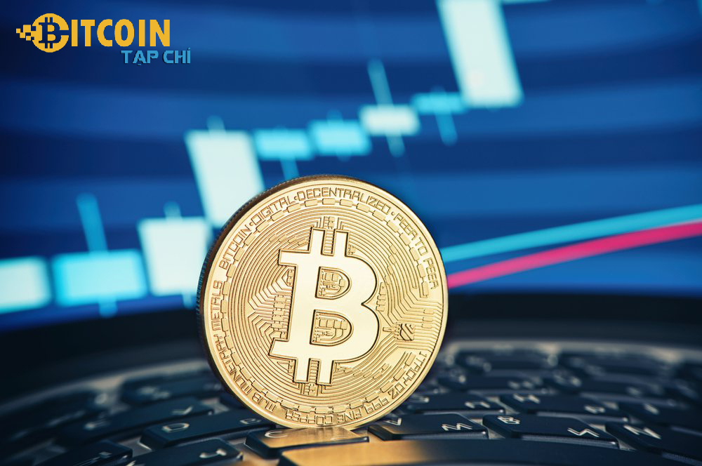 Tạp chí crypto hàng đầu Việt Nam