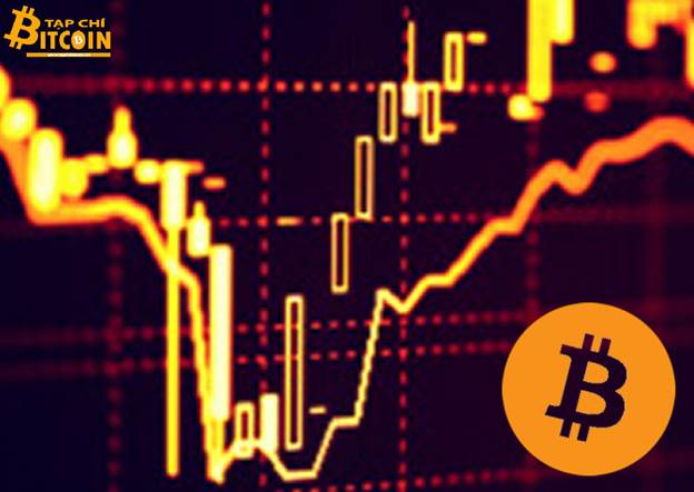 Tạp chí crypto hàng đầu Việt Nam