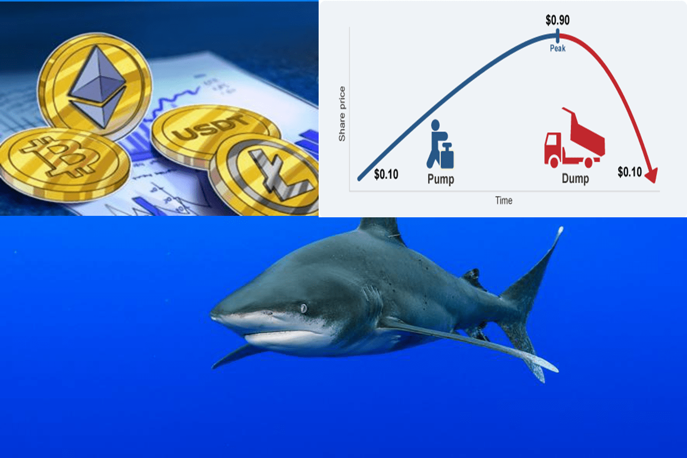 Tạp chí crypto hàng đầu Việt Nam