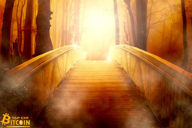 Tạp chí crypto hàng đầu Việt Nam