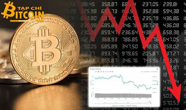 Tạp chí crypto hàng đầu Việt Nam