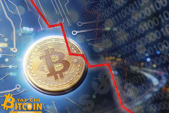 Tạp chí crypto hàng đầu Việt Nam