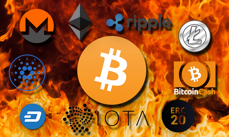 Tạp chí crypto hàng đầu Việt Nam