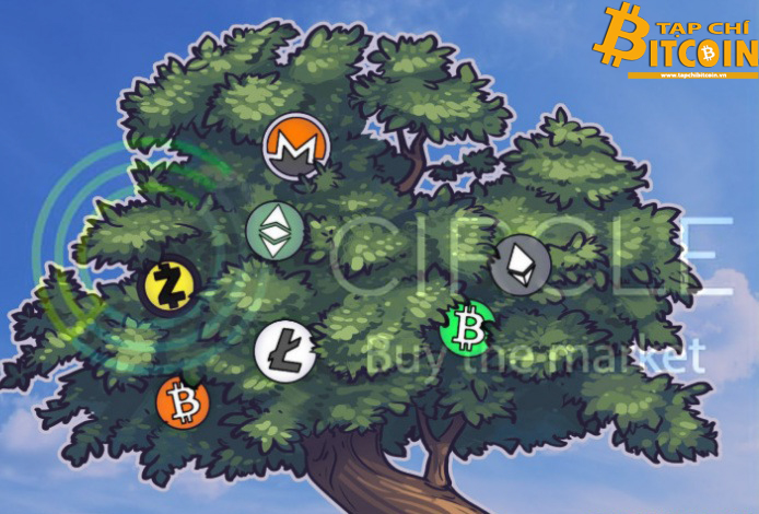 Tạp chí crypto hàng đầu Việt Nam