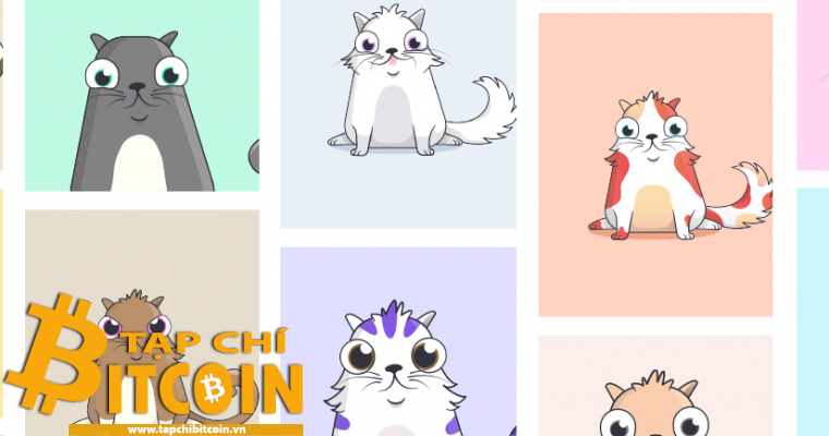 Tạp chí crypto hàng đầu Việt Nam