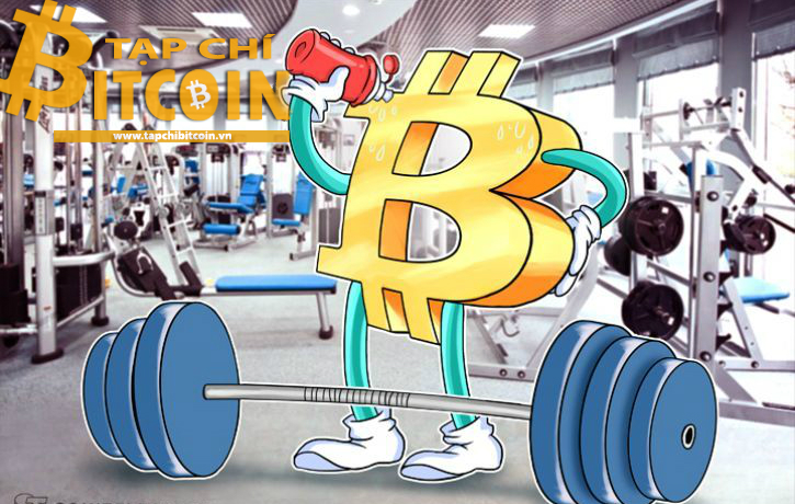 Tạp chí crypto hàng đầu Việt Nam