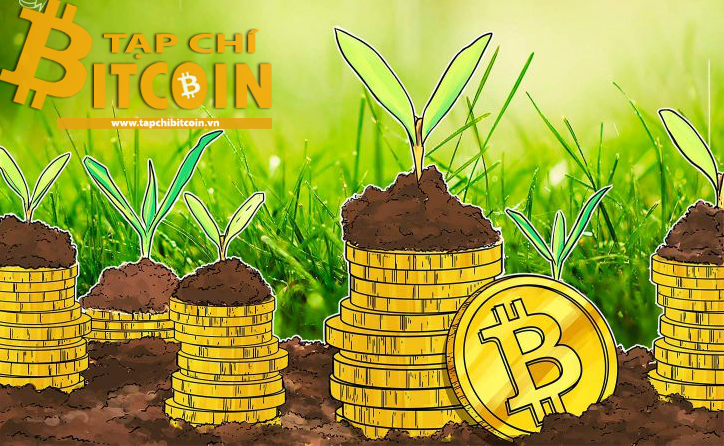 Tạp chí crypto hàng đầu Việt Nam