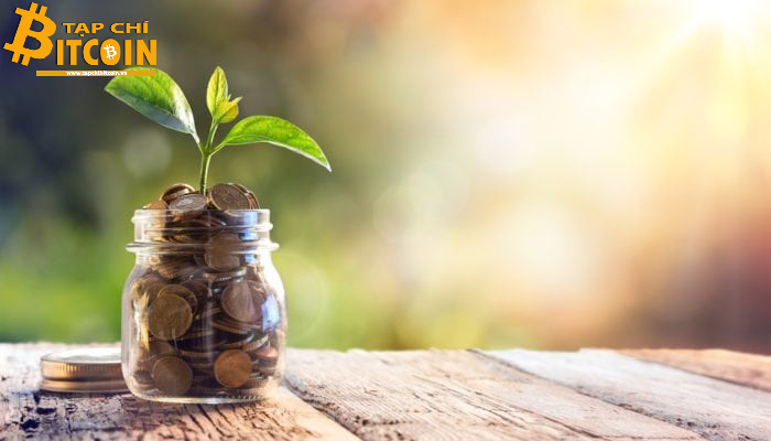 Tạp chí crypto hàng đầu Việt Nam