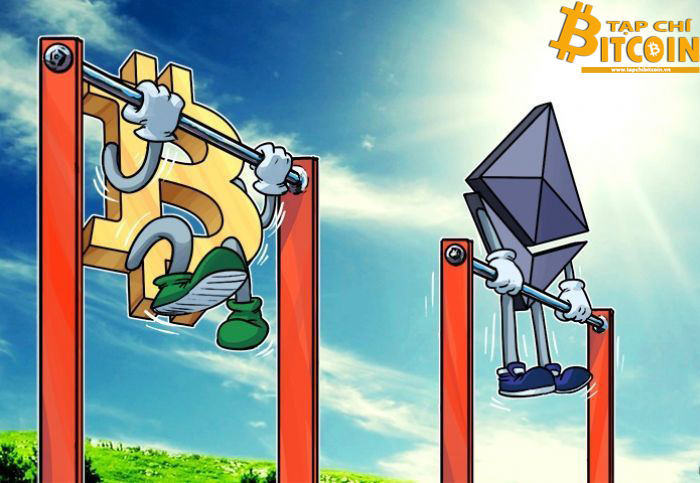 Tạp chí crypto hàng đầu Việt Nam