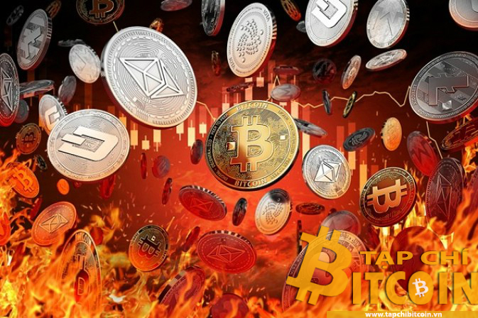 Tạp chí crypto hàng đầu Việt Nam
