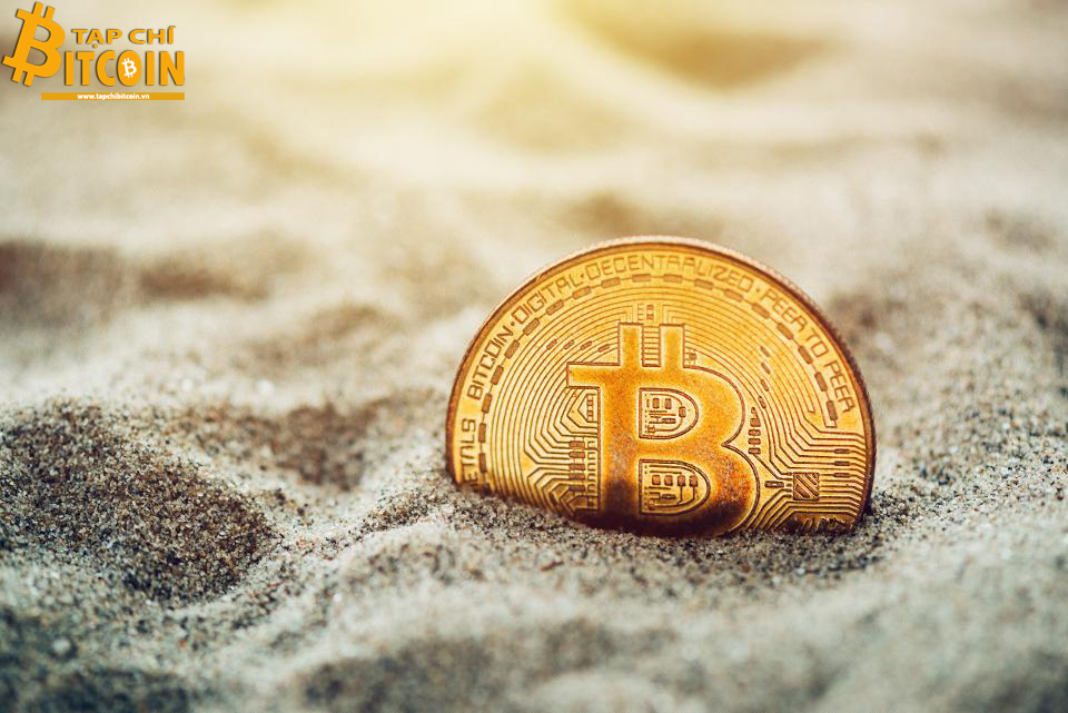 Tạp chí crypto hàng đầu Việt Nam