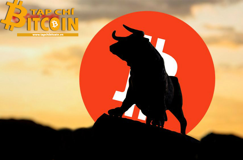 Tạp chí crypto hàng đầu Việt Nam