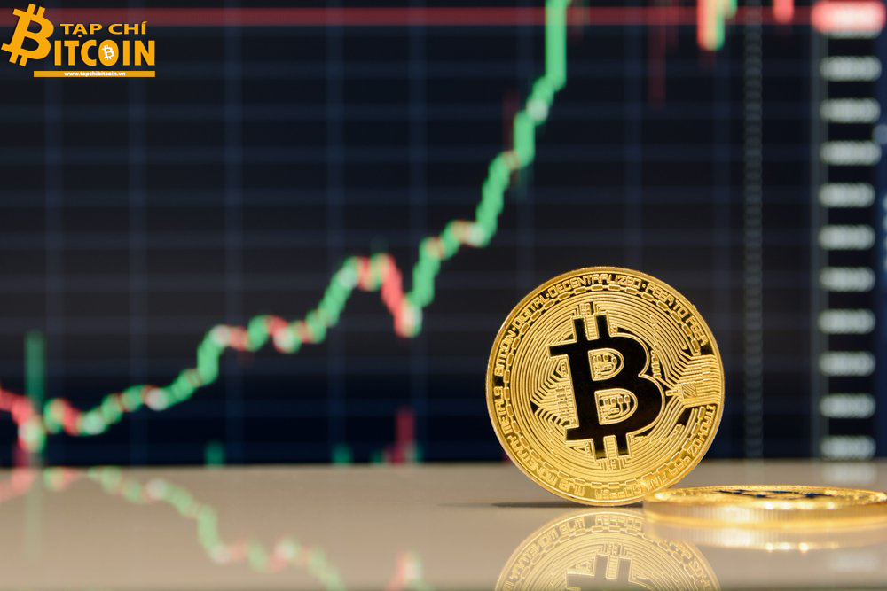 Tạp chí crypto hàng đầu Việt Nam