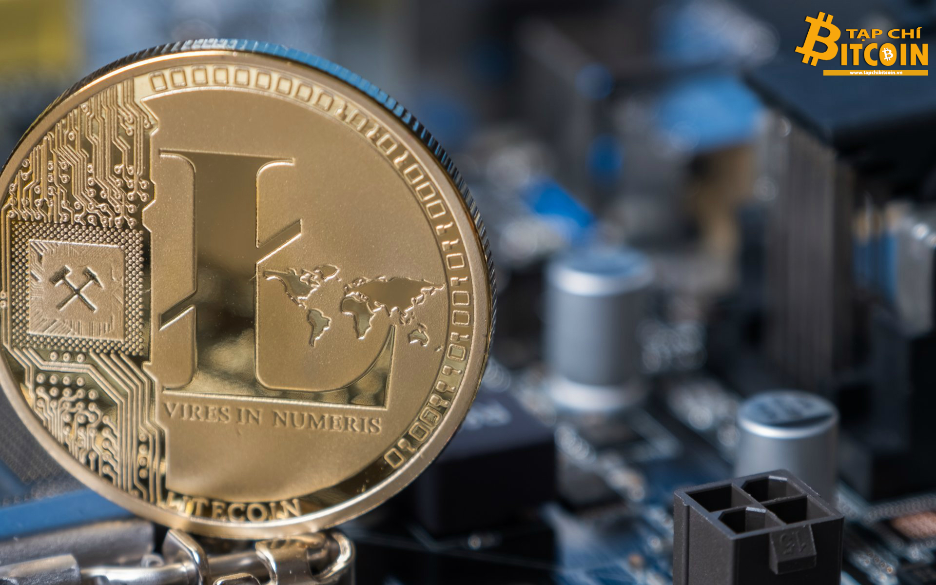 Tạp chí crypto hàng đầu Việt Nam
