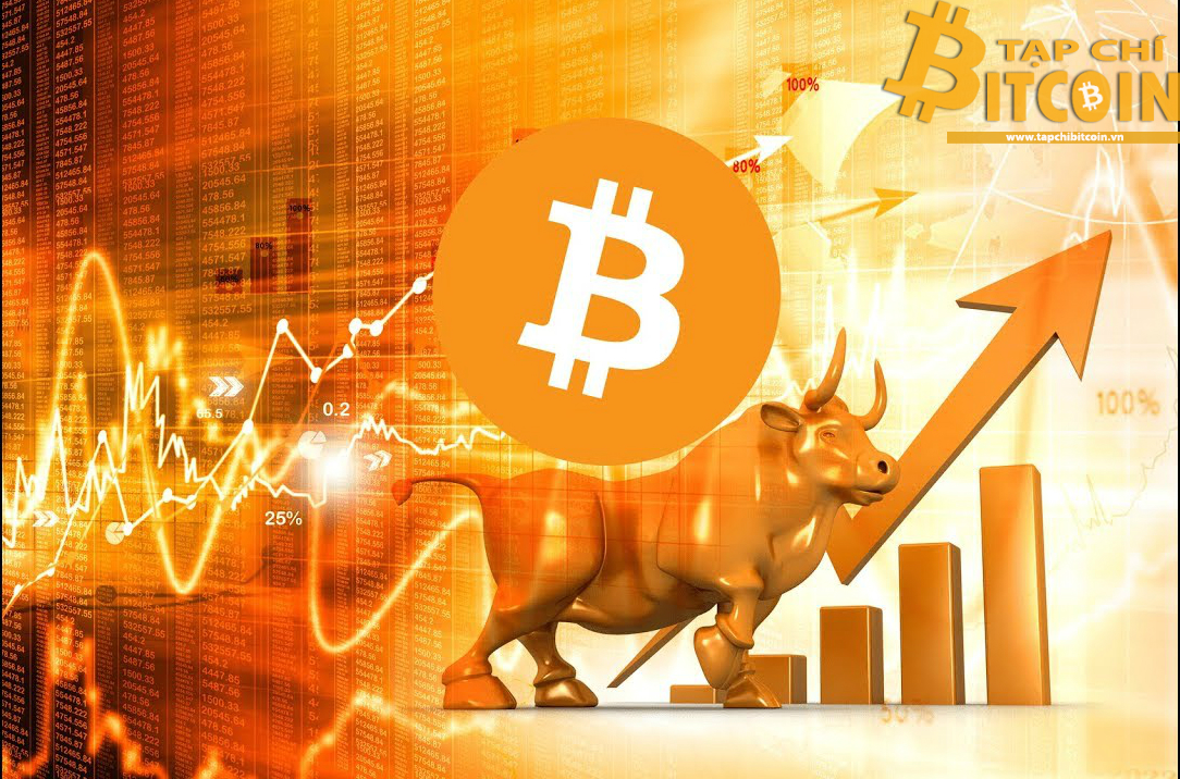 Tạp chí crypto hàng đầu Việt Nam