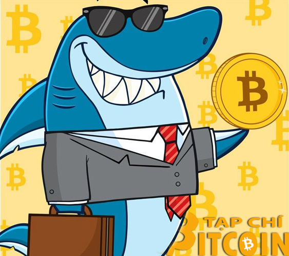 Tạp chí crypto hàng đầu Việt Nam