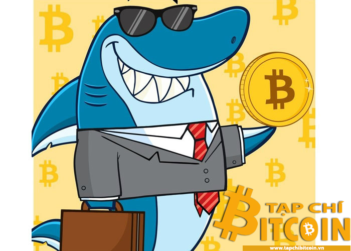 Tạp chí crypto hàng đầu Việt Nam