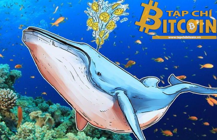 Tạp chí crypto hàng đầu Việt Nam