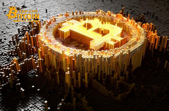 Tạp chí crypto hàng đầu Việt Nam