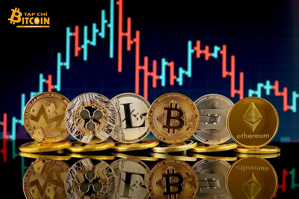 Tạp chí crypto hàng đầu Việt Nam