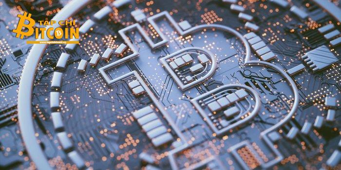 Tạp chí crypto hàng đầu Việt Nam