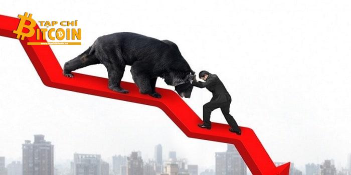 Tạp chí crypto hàng đầu Việt Nam