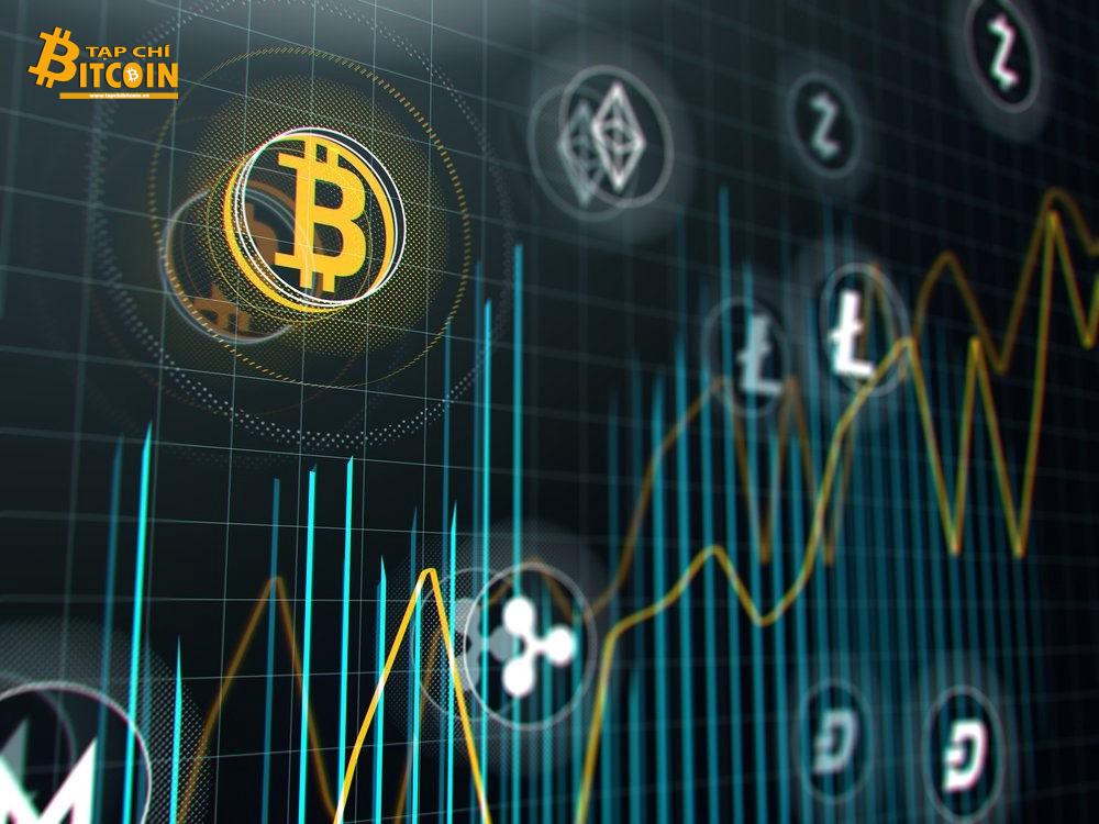 Tạp chí crypto hàng đầu Việt Nam