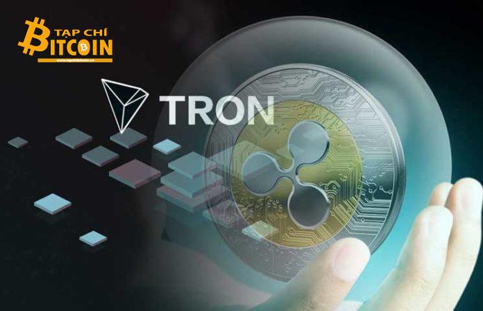 Tạp chí crypto hàng đầu Việt Nam