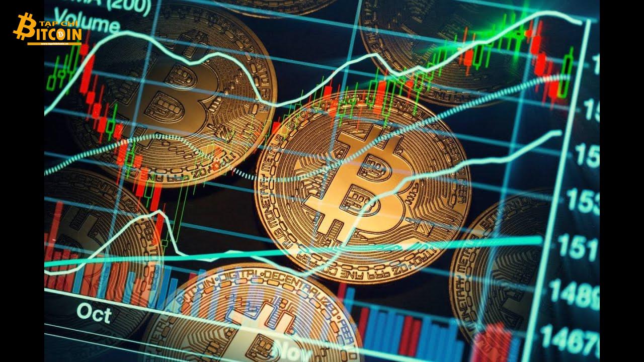 Tạp chí crypto hàng đầu Việt Nam