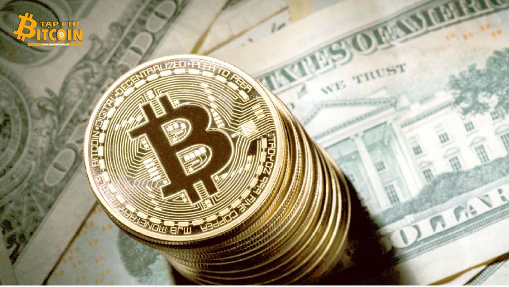 Tạp chí crypto hàng đầu Việt Nam