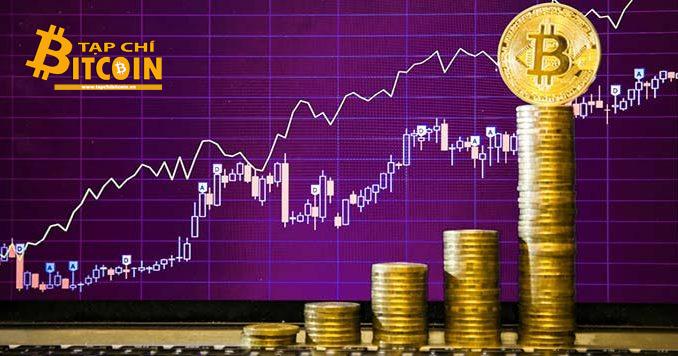 Tạp chí crypto hàng đầu Việt Nam