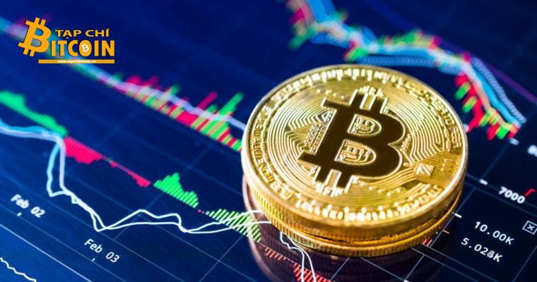 Tạp chí crypto hàng đầu Việt Nam