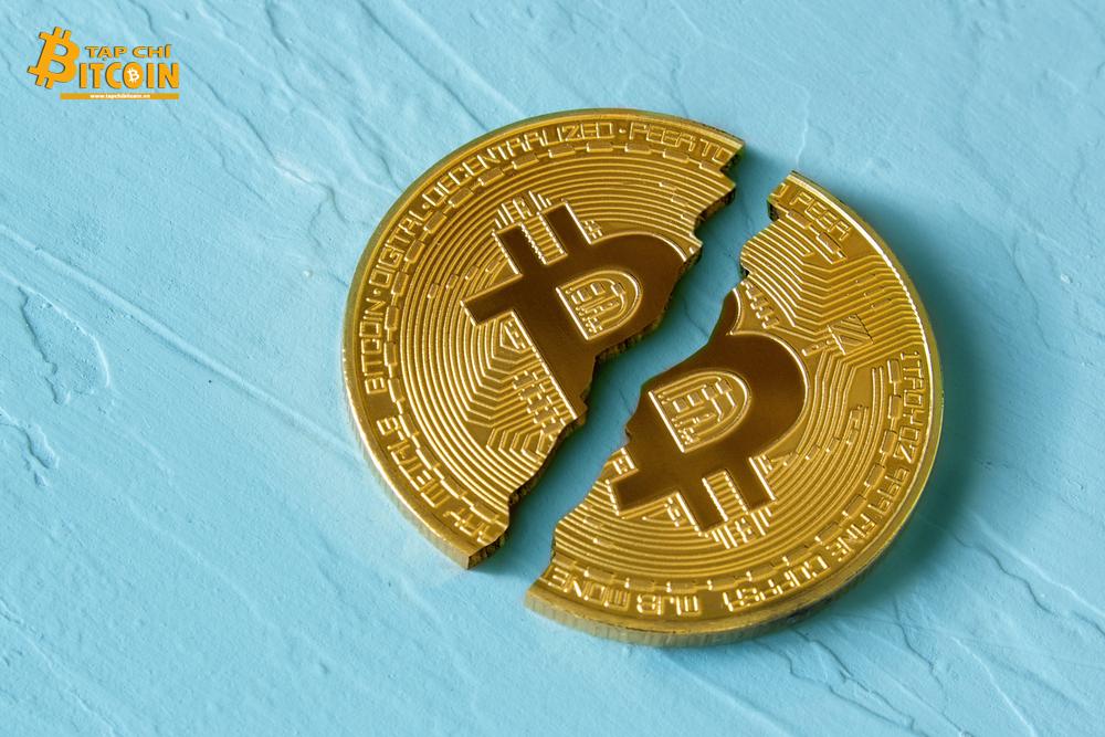 Tạp chí crypto hàng đầu Việt Nam