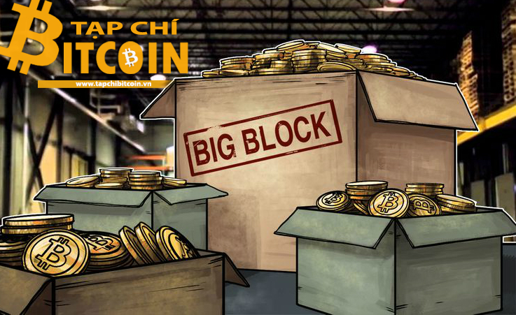 Tạp chí crypto hàng đầu Việt Nam