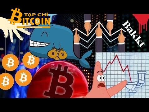 Tạp chí crypto hàng đầu Việt Nam