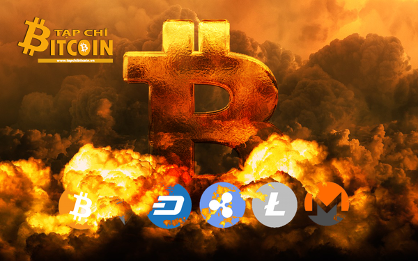 Tạp chí crypto hàng đầu Việt Nam