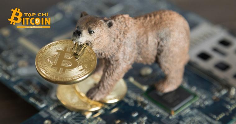 Tạp chí crypto hàng đầu Việt Nam