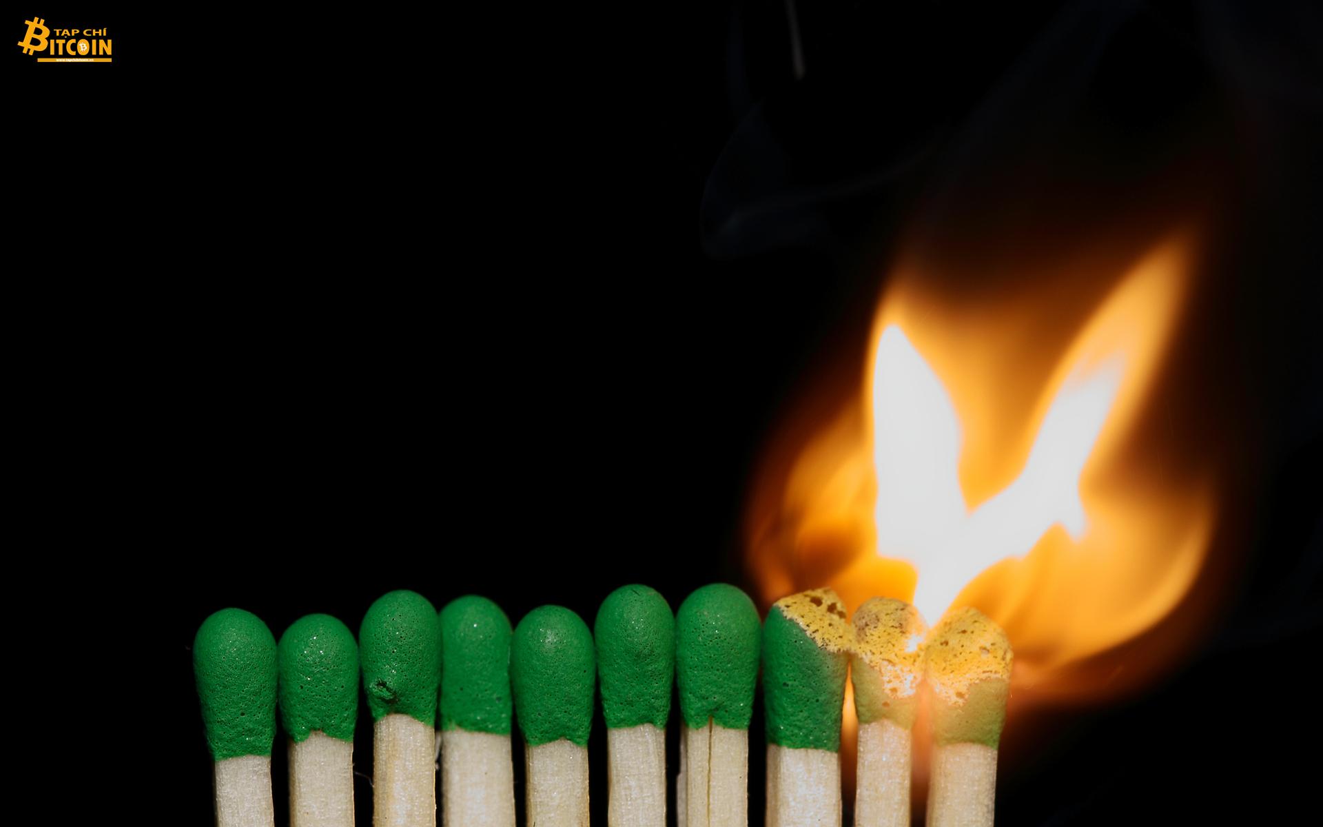 Tạp chí crypto hàng đầu Việt Nam