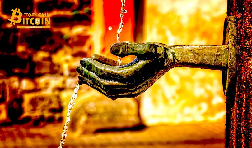 Tạp chí crypto hàng đầu Việt Nam