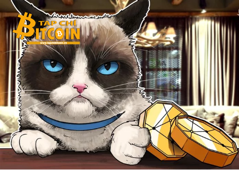 Tạp chí crypto hàng đầu Việt Nam