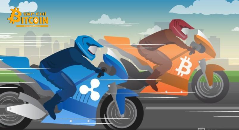 Tạp chí crypto hàng đầu Việt Nam