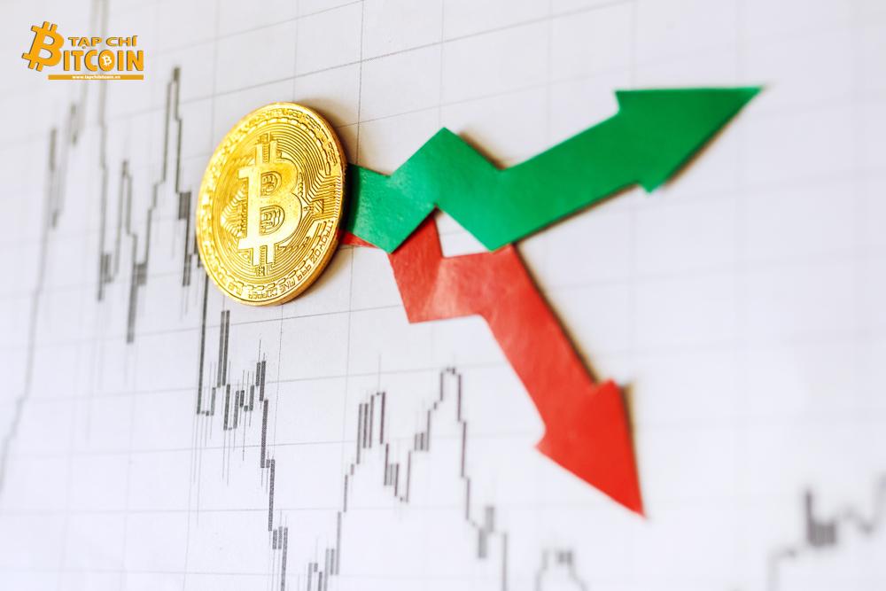Tạp chí crypto hàng đầu Việt Nam