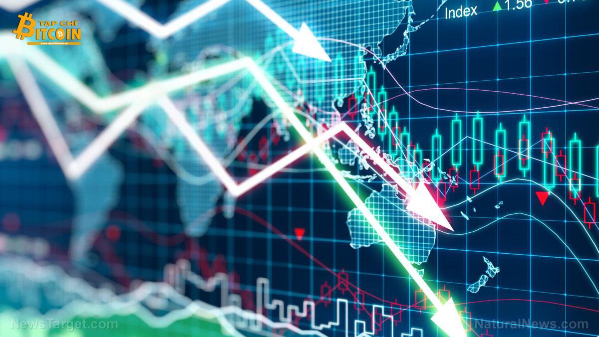 Tạp chí crypto hàng đầu Việt Nam