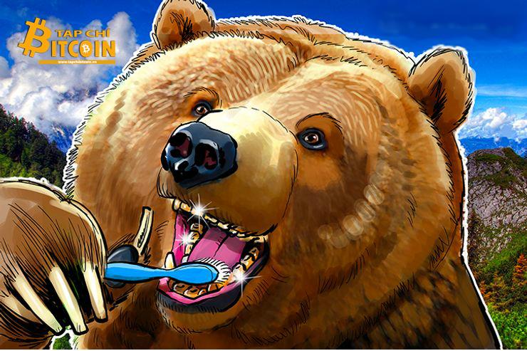 Tạp chí crypto hàng đầu Việt Nam