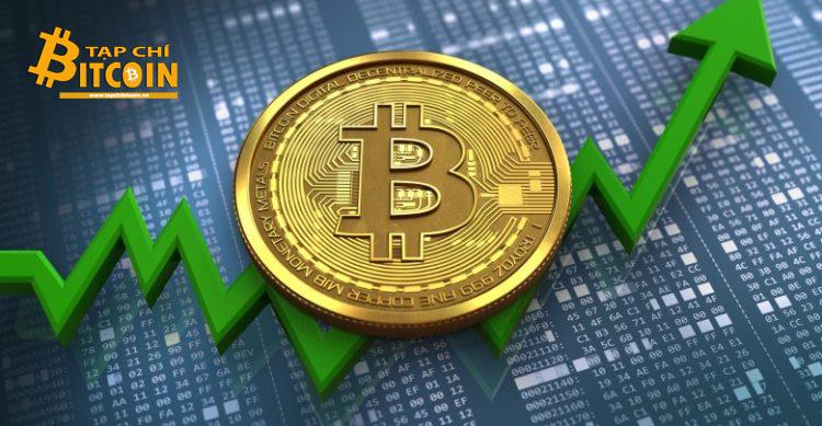Tạp chí crypto hàng đầu Việt Nam