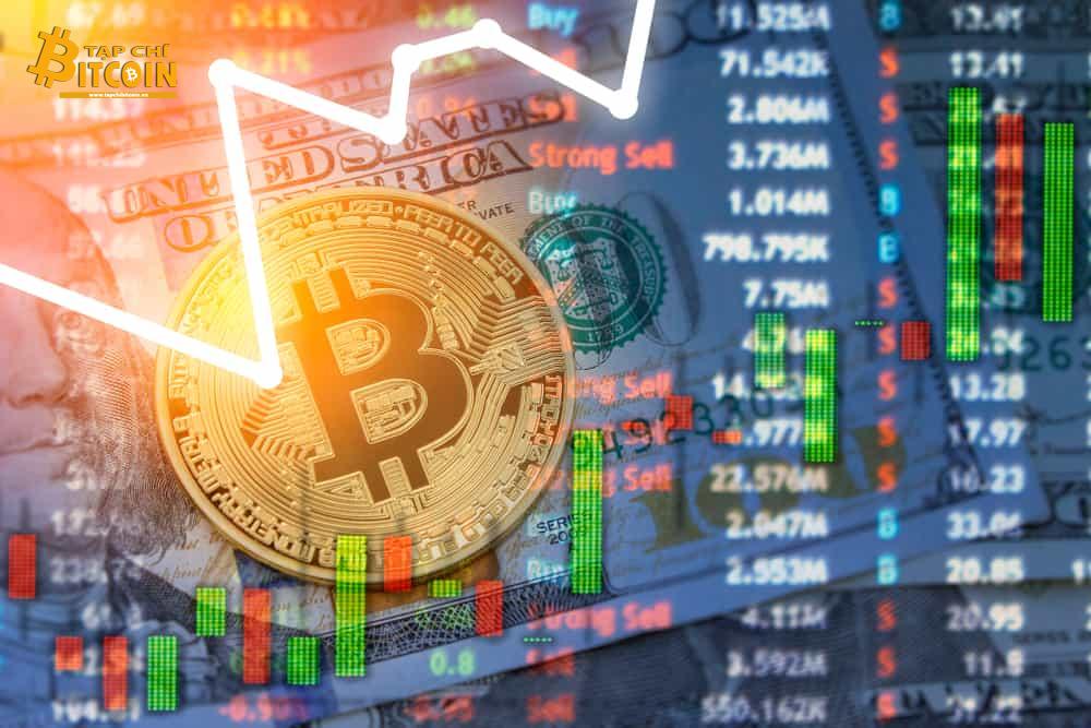Tạp chí crypto hàng đầu Việt Nam
