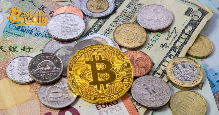 Tạp chí crypto hàng đầu Việt Nam