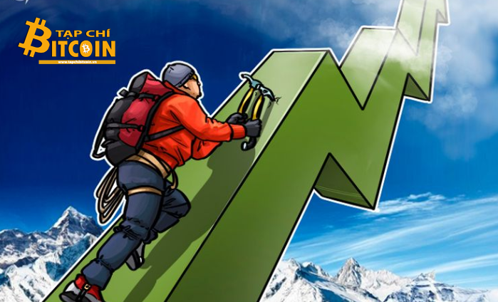 Tạp chí crypto hàng đầu Việt Nam