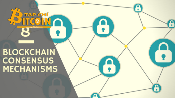 Tạp chí crypto hàng đầu Việt Nam
